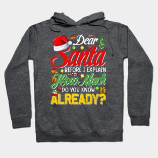 Dear Santa Before I Explain How Much Do You Know Already T-Shirt Hoodie